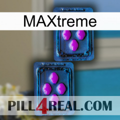 Maxtreme 03